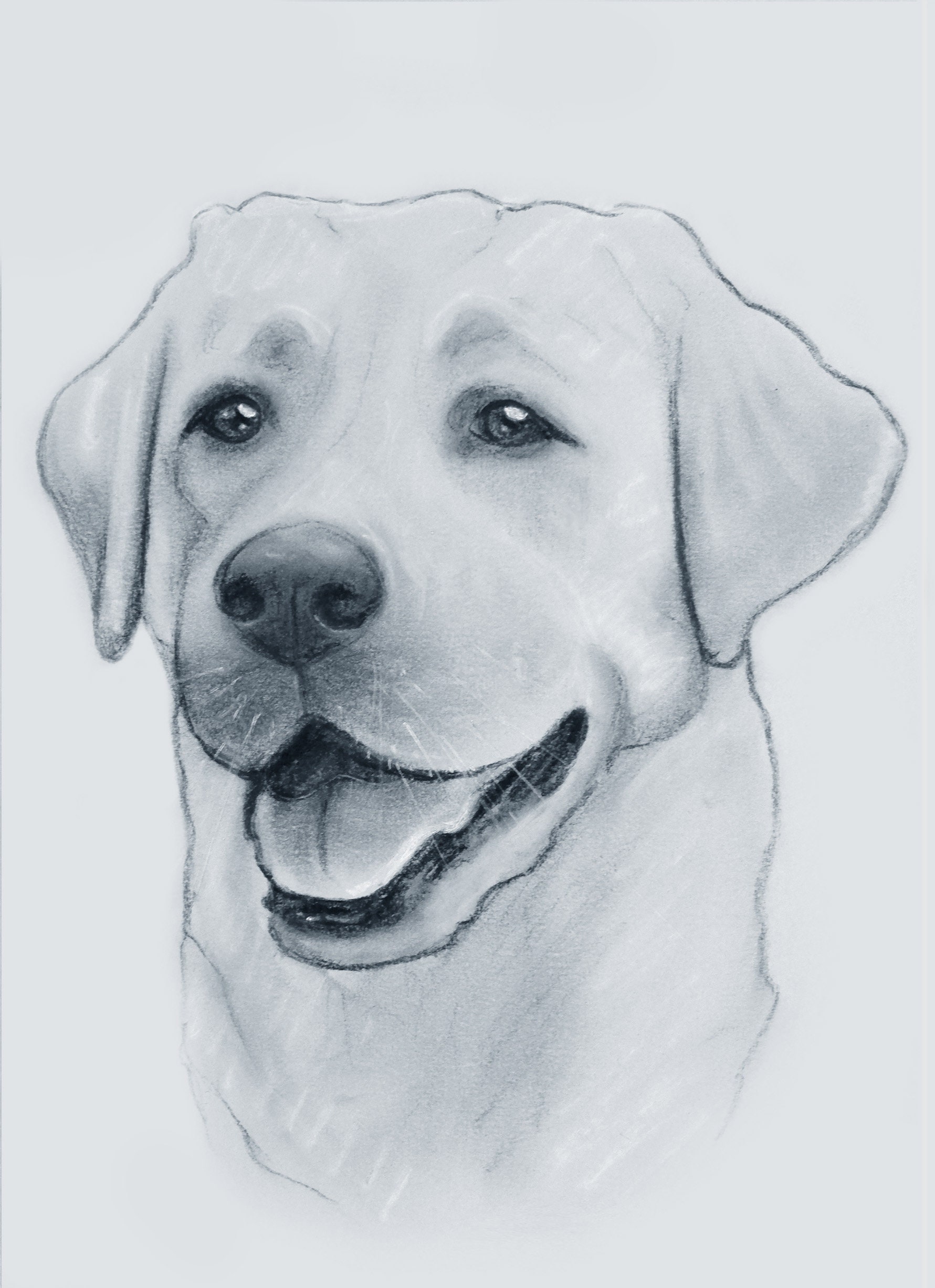 A5 Labrador Retriever Dog charcoal drawing art print by Etsy
