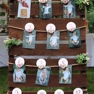 May include: A wooden pallet with twelve photos of a baby displayed in a grid pattern. Each photo is attached to a white circle with a pink flower and a gold number from 1 to 12. The photos are arranged in rows of three. The pallet is decorated with green foliage.