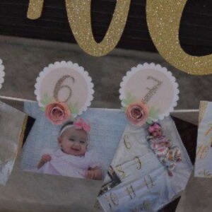 May include: A white and pink banner with a gold glitter one on top. The banner has 10 pictures of a baby, each picture is in a white frame with a pink flower and number. The numbers on the banner are 1, 2, 3, 4, 5, 6, 7, 8, 9, and 10.