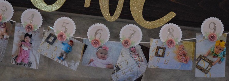 May include: A white and pink banner with a gold glitter one on top. The banner has 10 pictures of a baby, each picture is in a white frame with a pink flower and number. The numbers on the banner are 1, 2, 3, 4, 5, 6, 7, 8, 9, and 10.