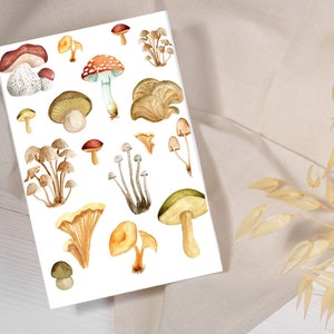 Pilz Karte Digitaler Download | Niedliche Pilz Karte | Print at Home Geburtstagskarte | Aquarell Pilz Sortiment Karte | Fun Pilz Karte