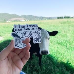 May include: A white sticker with the text "IF I DIE I WANNA COME BACK AS A COUNTRY BOY" and a graphic of a cowboy hat and boots. The sticker is held in front of a black and white cow in a green field.
