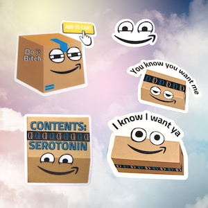 Amazon ボックス ステッカー | 防水ステッカー | ビッチ | ウォーターボトル | ハイドロフラスク | ナルゲン | ラップトップ ステッカー | おもしろい Amazon 中毒者 | Amazon ショップ