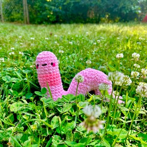 May include: A pink crocheted worm toy with a happy face, sitting in a field of green grass and white clover flowers.