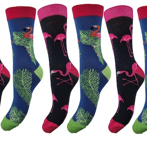 Organic cotton socks in a pack of 6 with “Pelican Print”