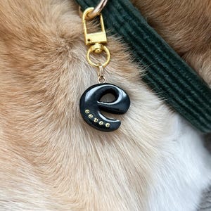 Puede incluir: Una placa de perro negra con un anillo y un cierre dorados. La placa tiene la forma del número 9 y tiene la palabra "eevee" escrita en letras doradas.