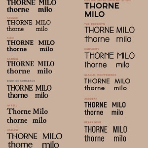 May include: A chart of font choices for a design project. The chart lists 10 different fonts, each with a sample of the font name in both uppercase and lowercase letters. The fonts are: Louise Walker, Archer, ALEO, Kazimir, Eighties Comeback, Im Fell, Harlow, Windsor, Fox Bower, The Brooklyn, Simplicity, Glacial Indifference, Akrobat, Bebas Neue, and Lemon Days.