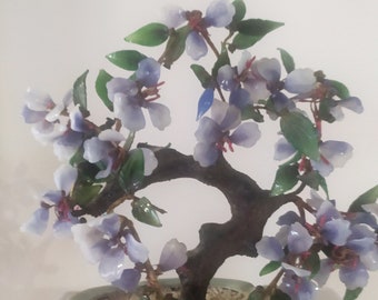 Banzai Chinese jade tree