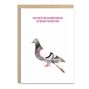 pigeon, pigeon lover, bird lover, bird poo, evil pigeon, greetings card watercolour painting (SM072)