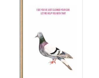 pigeon, pigeon lover, bird lover, bird poo, evil pigeon, greetings card watercolour painting (SM072)