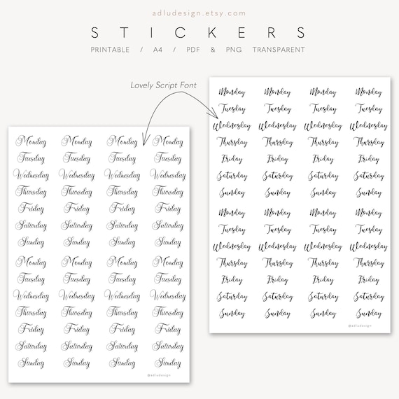 TC072 32pcs Clear ORGANIZE Stickers / Cursive Letter Stickers / Daily Life  Stickers / Clear Planner Stickers / ECLP / Journal Stickers 