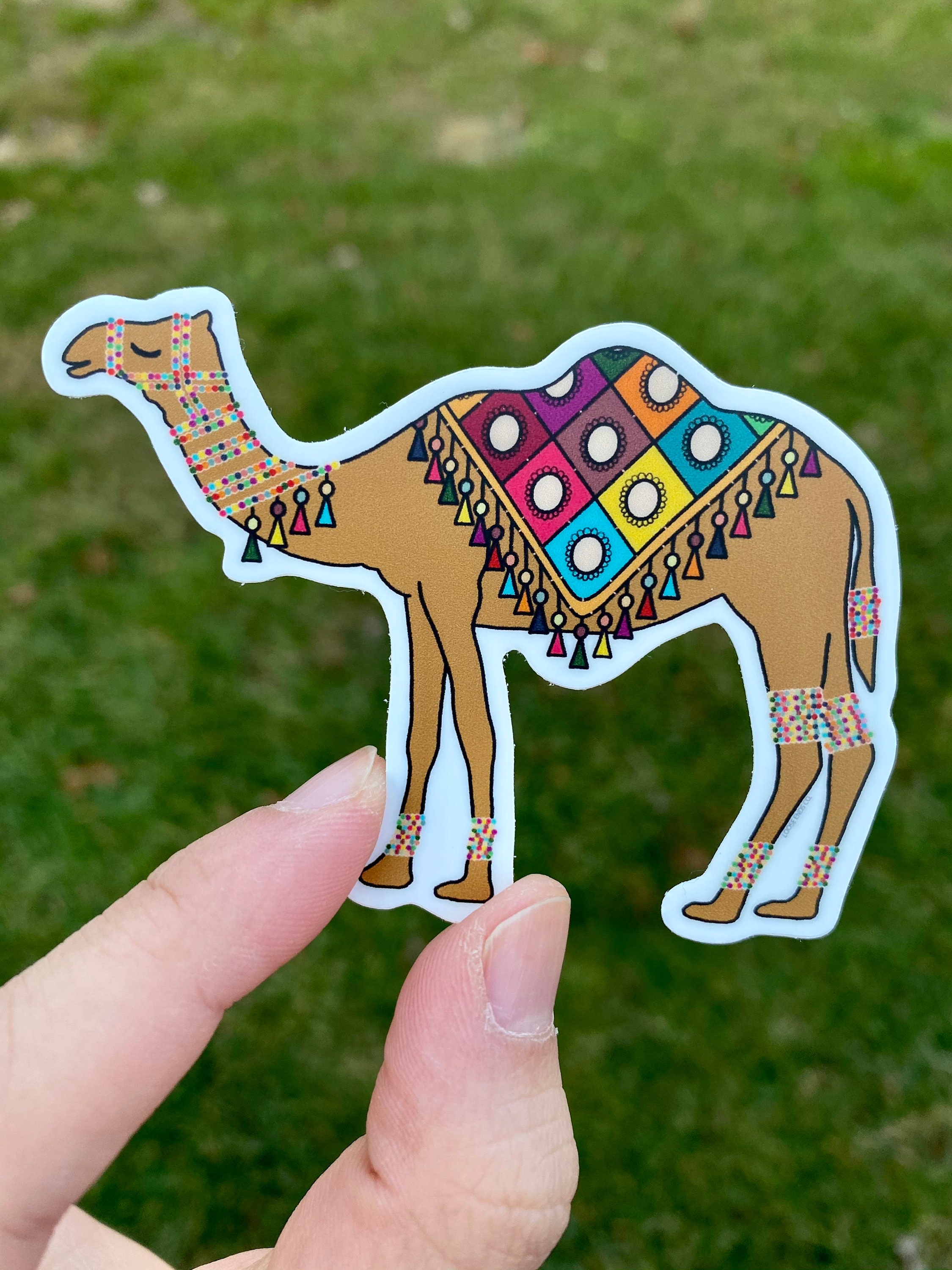 Rajasthani Camel Sticker 3 Sticker picture image pic