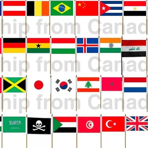 Small Country (Letter L-Z) Handheld Stick Table Desk Flags 4&quot;X6&quot; - 10X15cm - 10&quot; Plastic Pole -New
