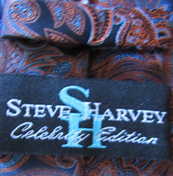 Steve Harvey ~ Beautiful Blue and Copper Tie ~ CE… - image 3