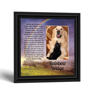 May include: A black framed wall art piece featuring a Rainbow Bridge poem, a landscape with a rainbow, and a photograph of a golden retriever and a black cat. The text reads: Just this side of heaven is a place called Rainbow Bridge. Rainbow Bridge.