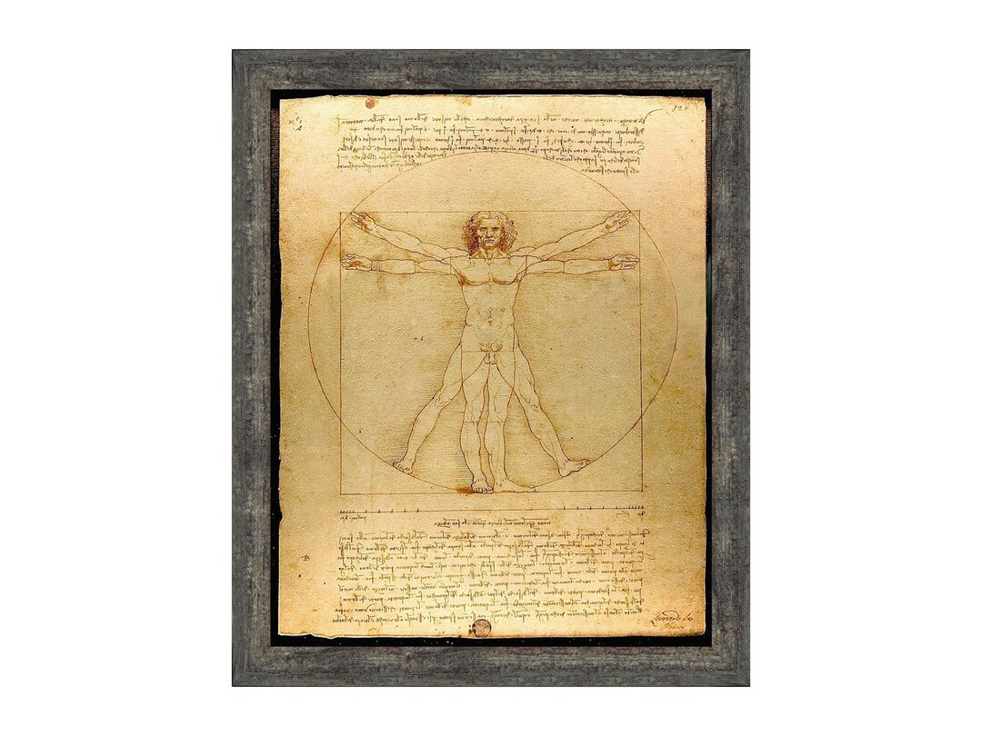 The Vitruvian Man Leonardo Da Vinci, World Famous Wall Art Collection
