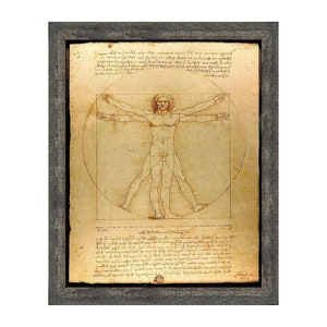 The Vitruvian Man Leonardo Da Vinci, World Famous Wall Art Collection, 11x14, 2453