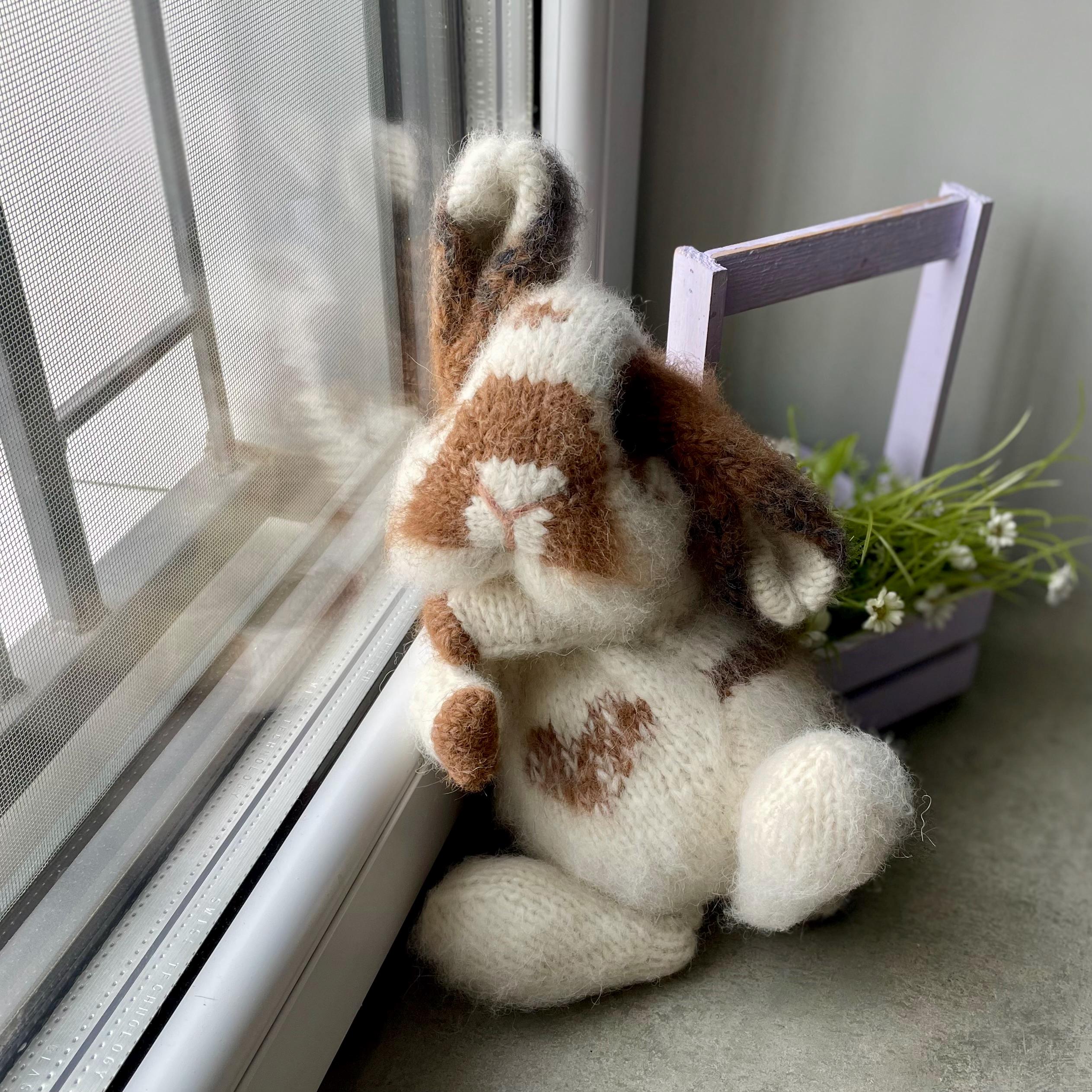 Holland Lop Bunny Realistic Rabbit Teddy Knitted Realistic Holland