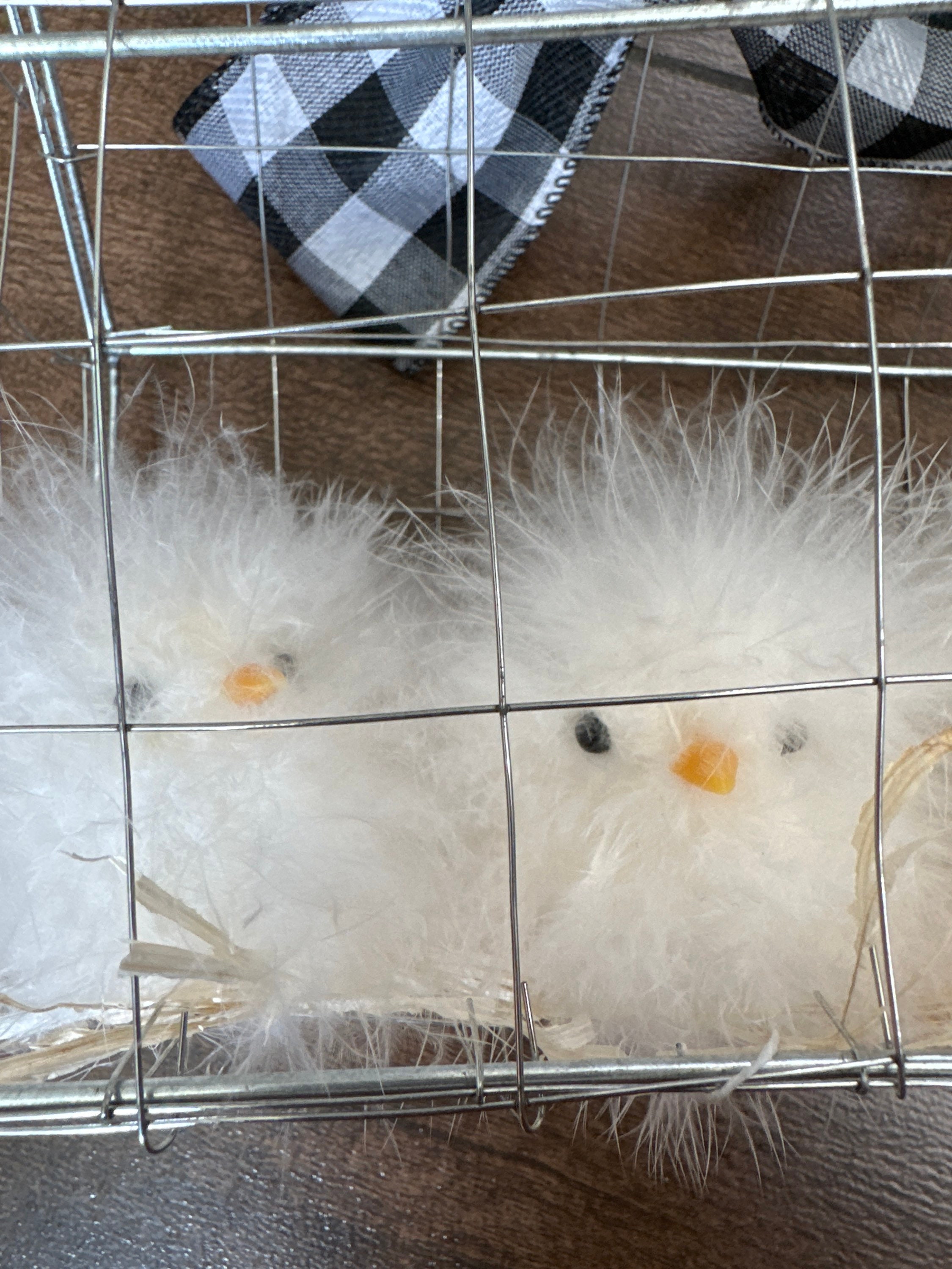 Baby Chicks SET 3 Nest Chickens in Cage Straw NOVOGRATZ Brand New Etsy
