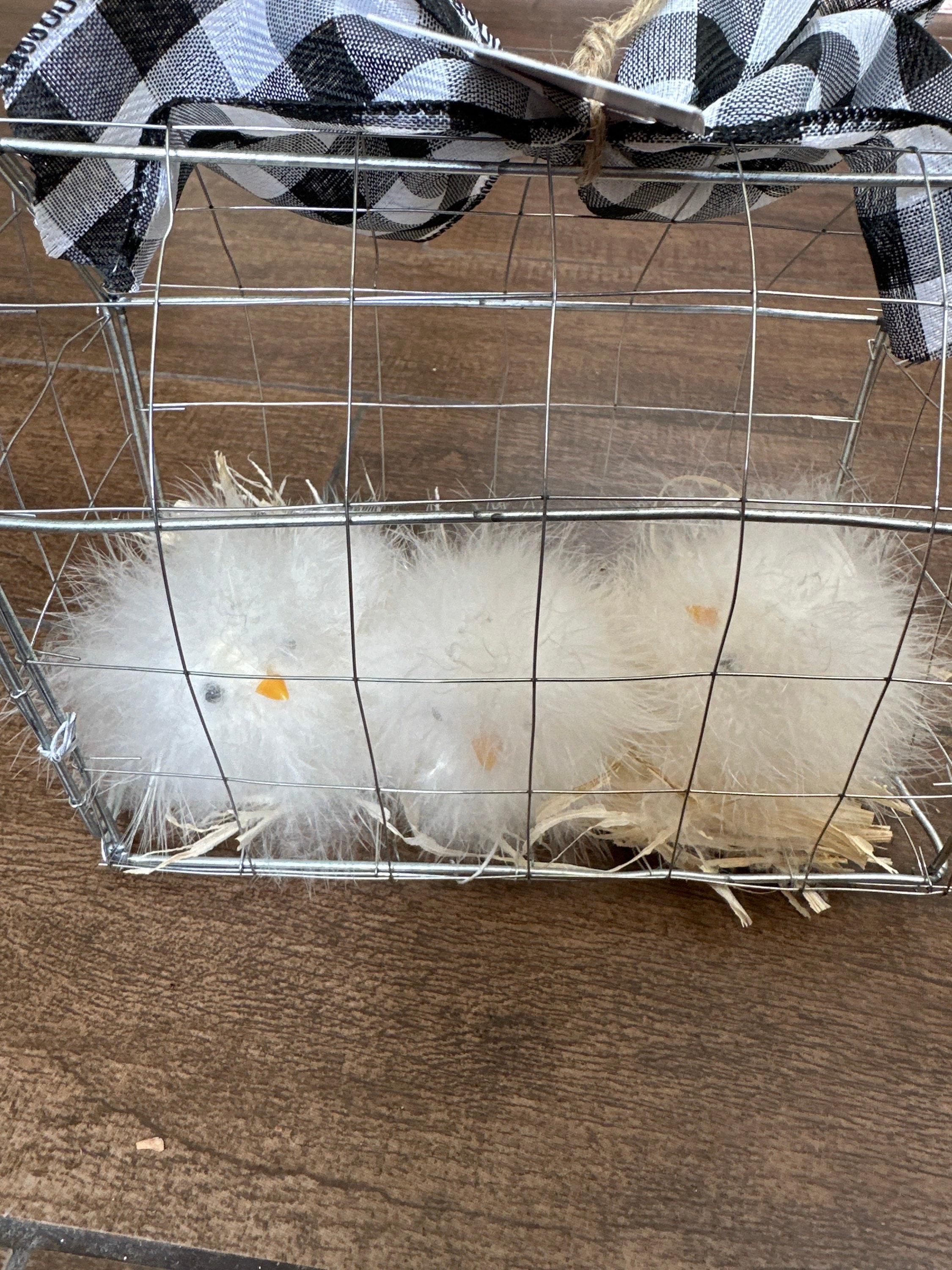 Baby Chicks SET 3 Nest Chickens in Cage Straw NOVOGRATZ Brand New Etsy