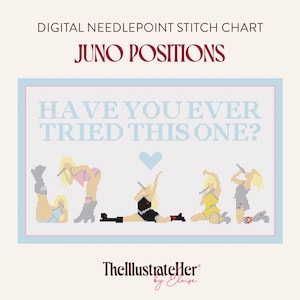 Juno Positions, Have You Ever Tried This One? - 18 Mesh | Digital Needlepoint Stitch Chart