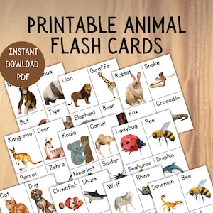 Afdrukbare dierenflitskaarten, educatieve pdf, direct downloaden, 8,5 x 11 inch