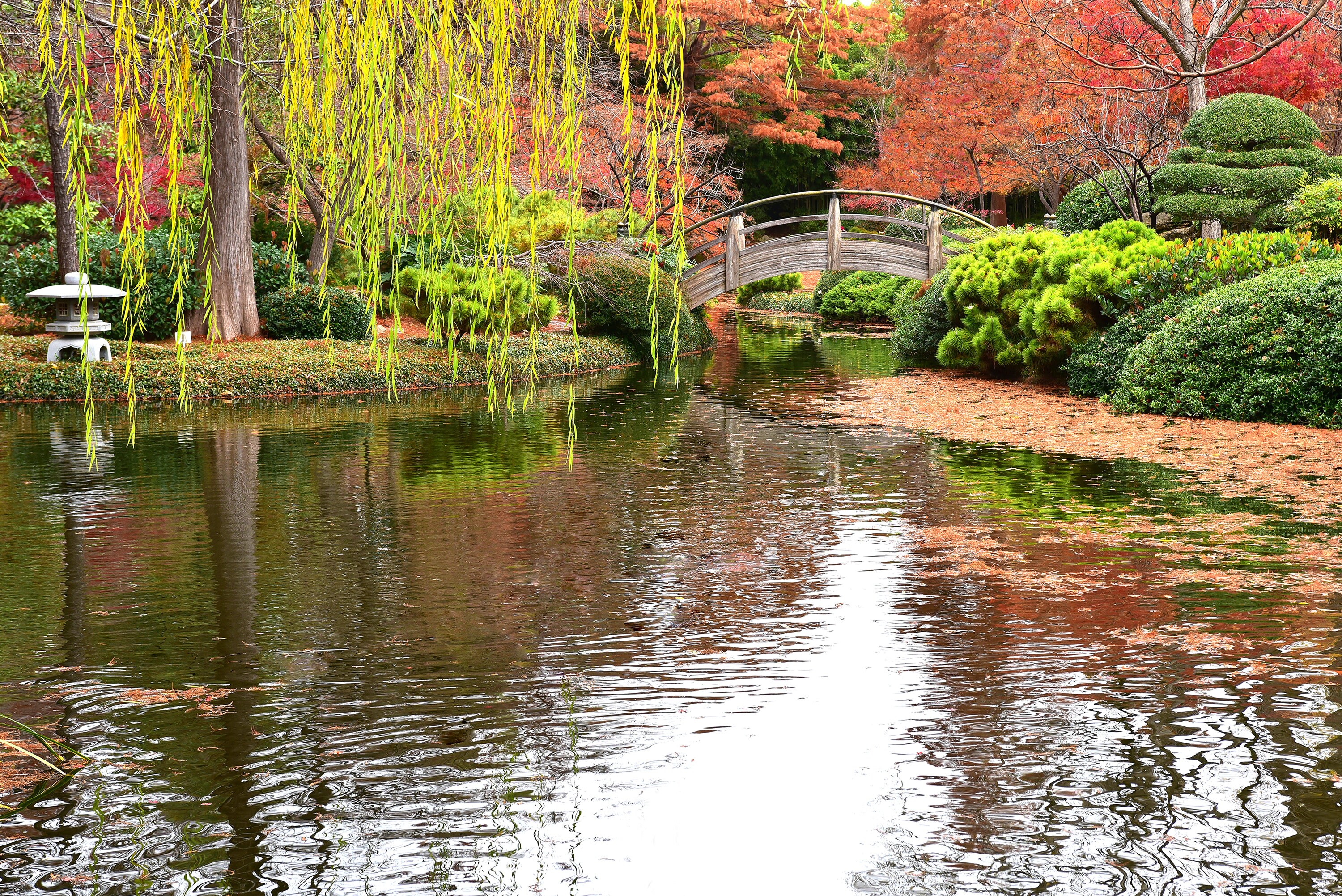 Puente de Otoño Jardines Japoneses Bellas Artes Impresión de | Etsy