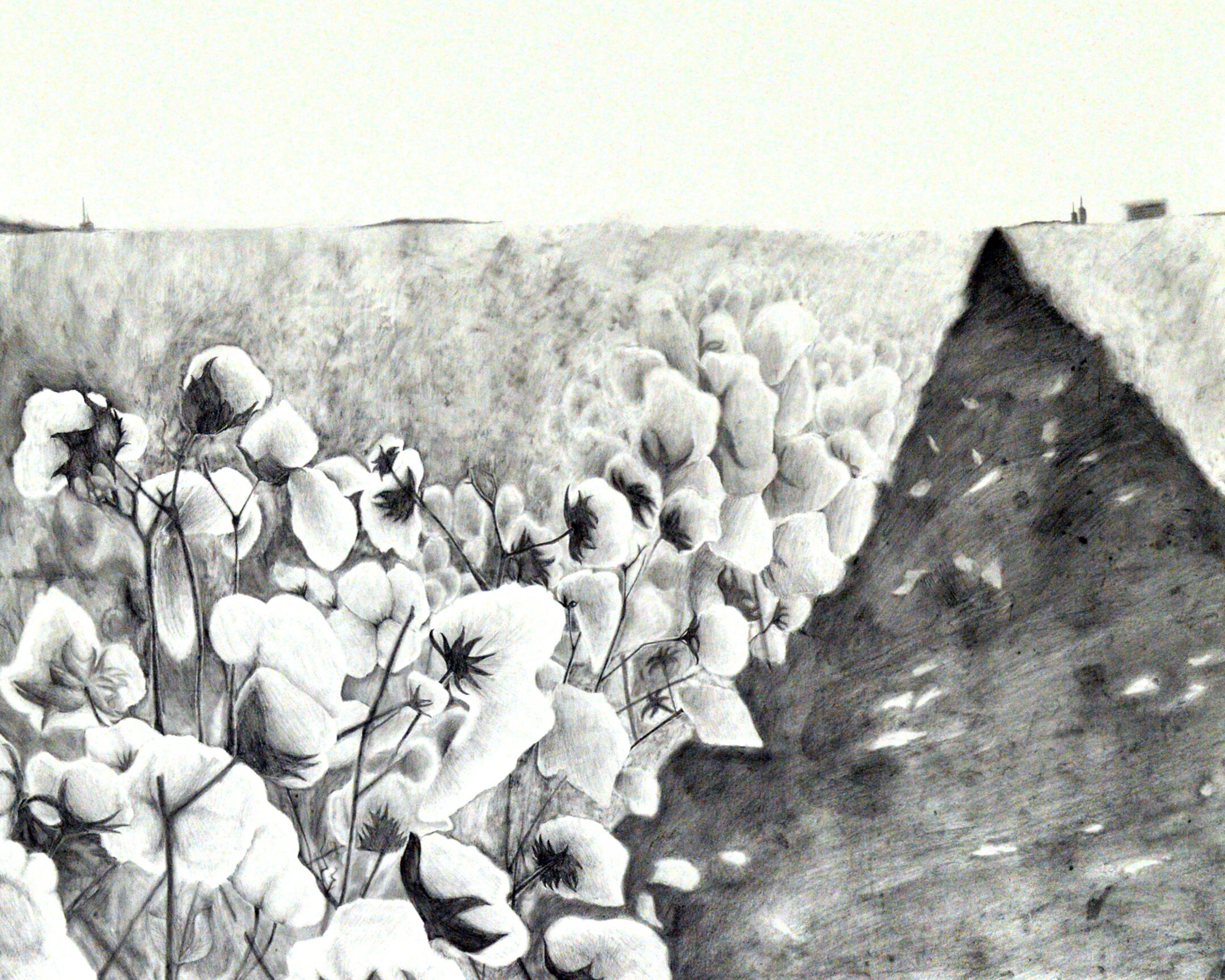 Cotton Field Art Print Fine Art Print Multiple Sizes Wall Etsy