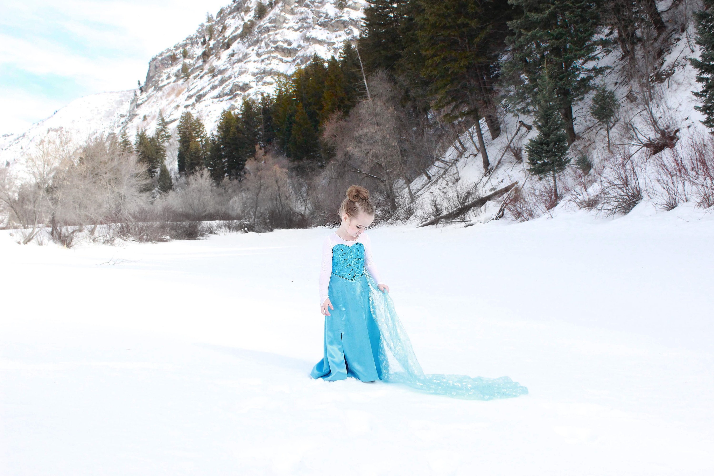 Frozen Elsa Let It Go Ice Queen Dress Toddler Girls Child | Etsy