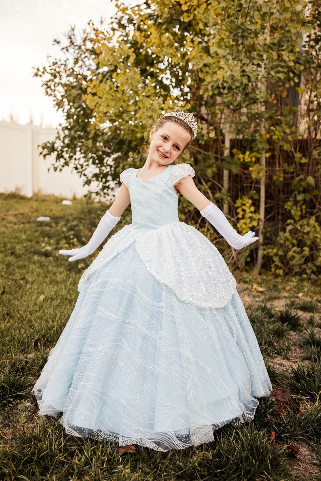 Details more than 148 cinderella dress for kids - seven.edu.vn