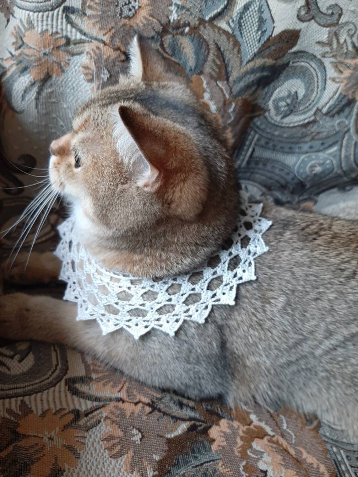 Cats collar crochet Rbg style Pet accessories Cats photo prop Etsy