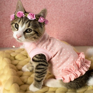 Little girl cat clothes hotsell