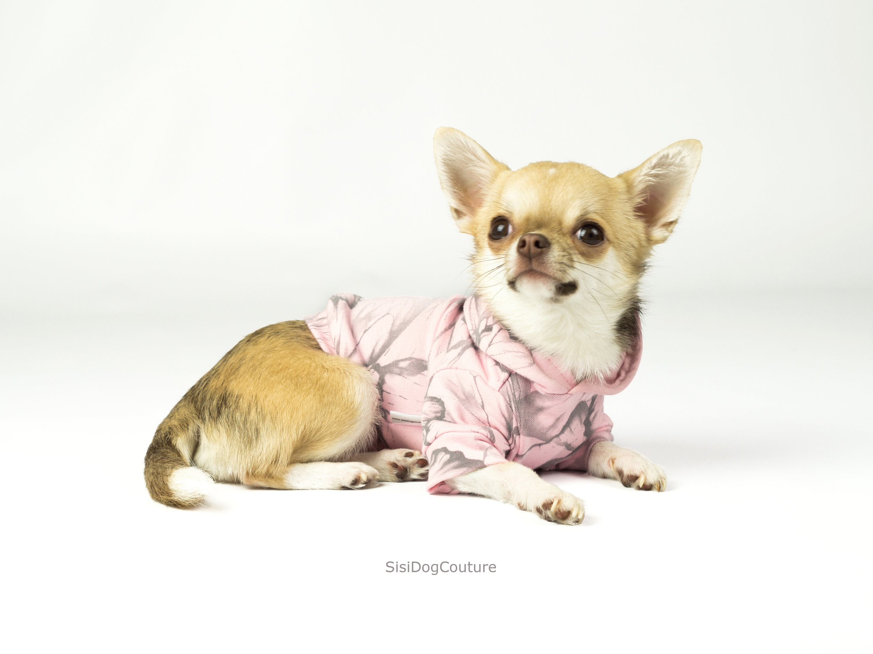 Chihuahua clothes Dog hoodie Clothes for small dogs Small Etsy