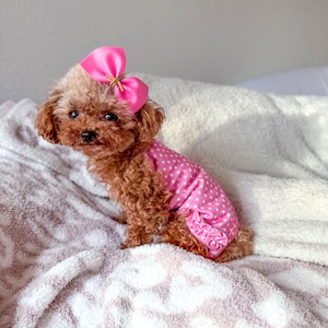 Dog Baptism Dress Etsy