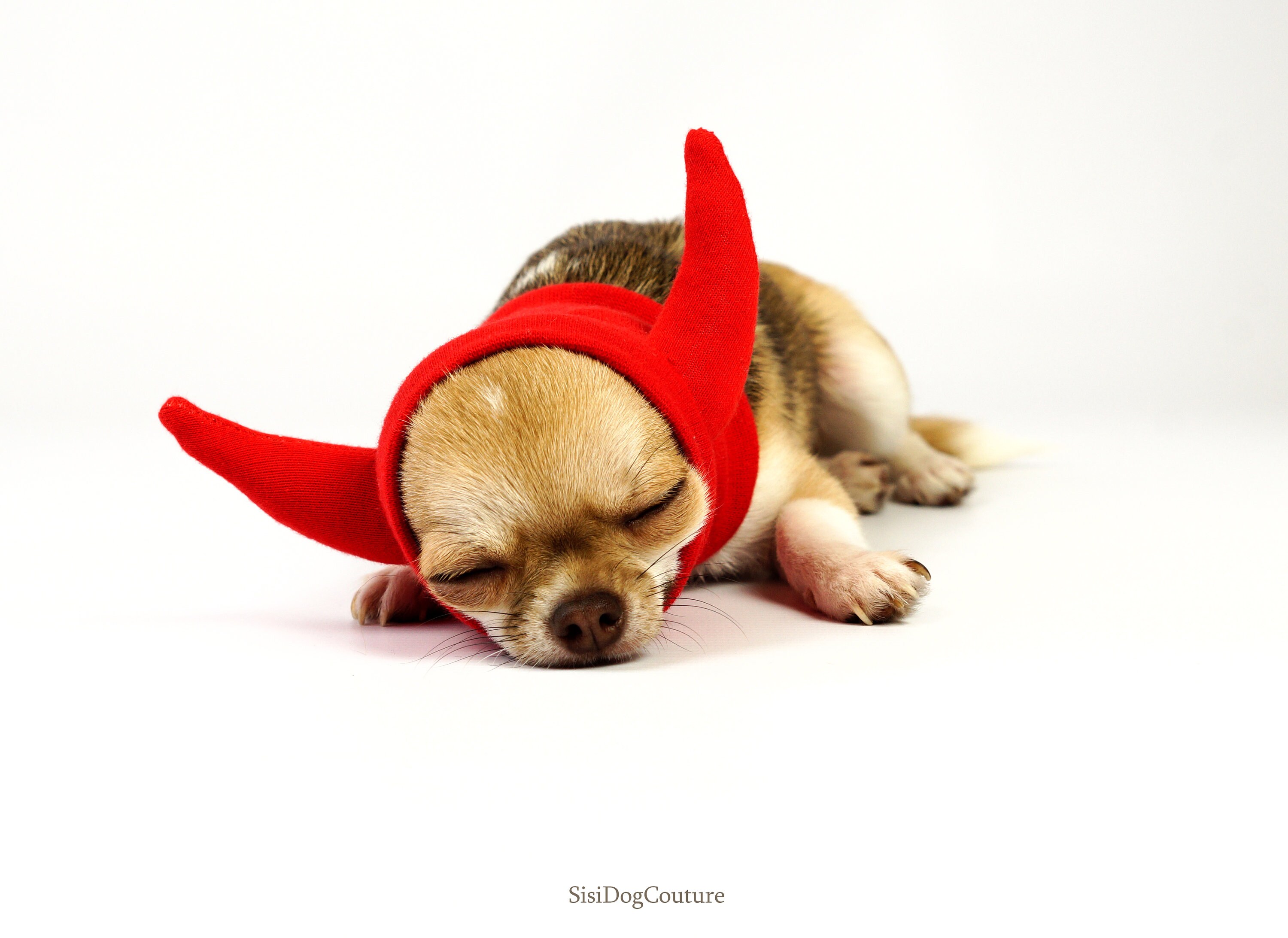 dog devil costume