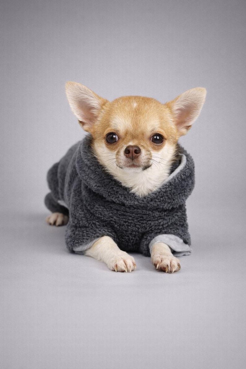100% Minky Plush Chihuahua Jumpsuit – Chihuahua Clothes, Small Dog Onesie, Gray image 2