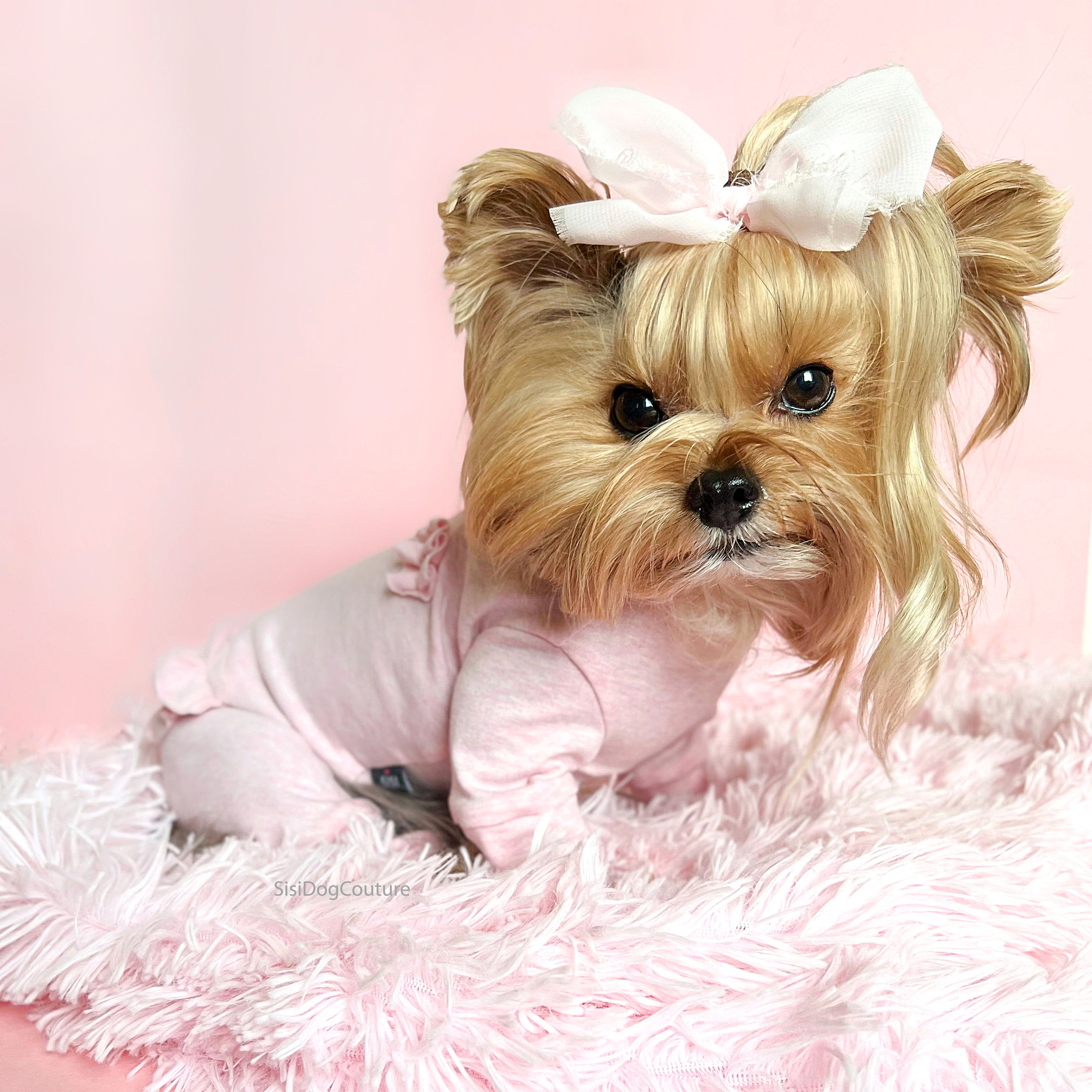 Xxs puppy clothes discount