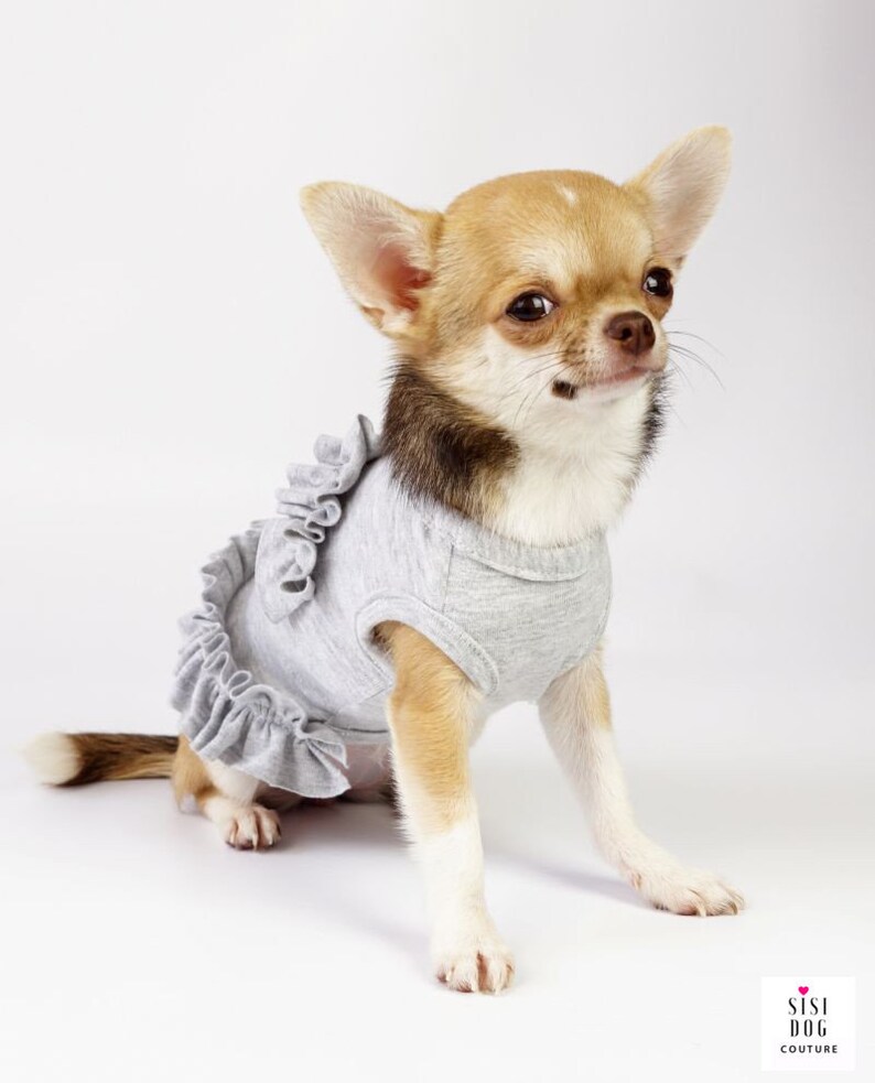 Small Size Dogs Small Dog Dress Chihuahua Clothes Dog Etsy