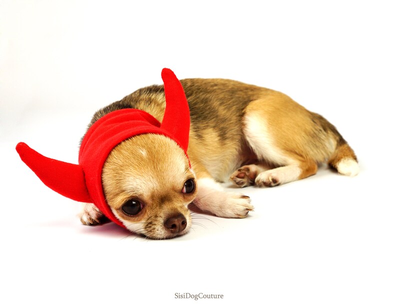 Snood for Dogs Devil Costume Dog Hats Devil Pet Costume Etsy