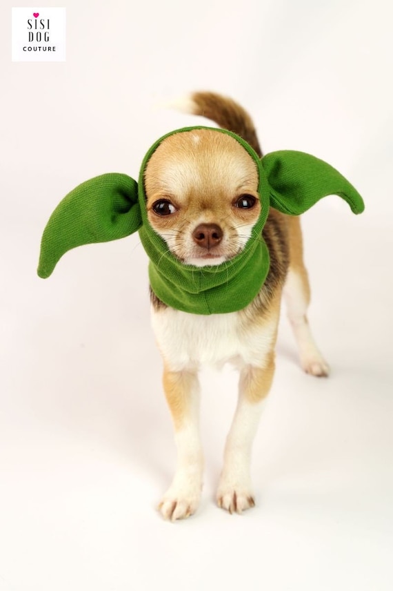 Snood per cani Cappelli da cane Costume per cani Chihuahua - Etsy Italia