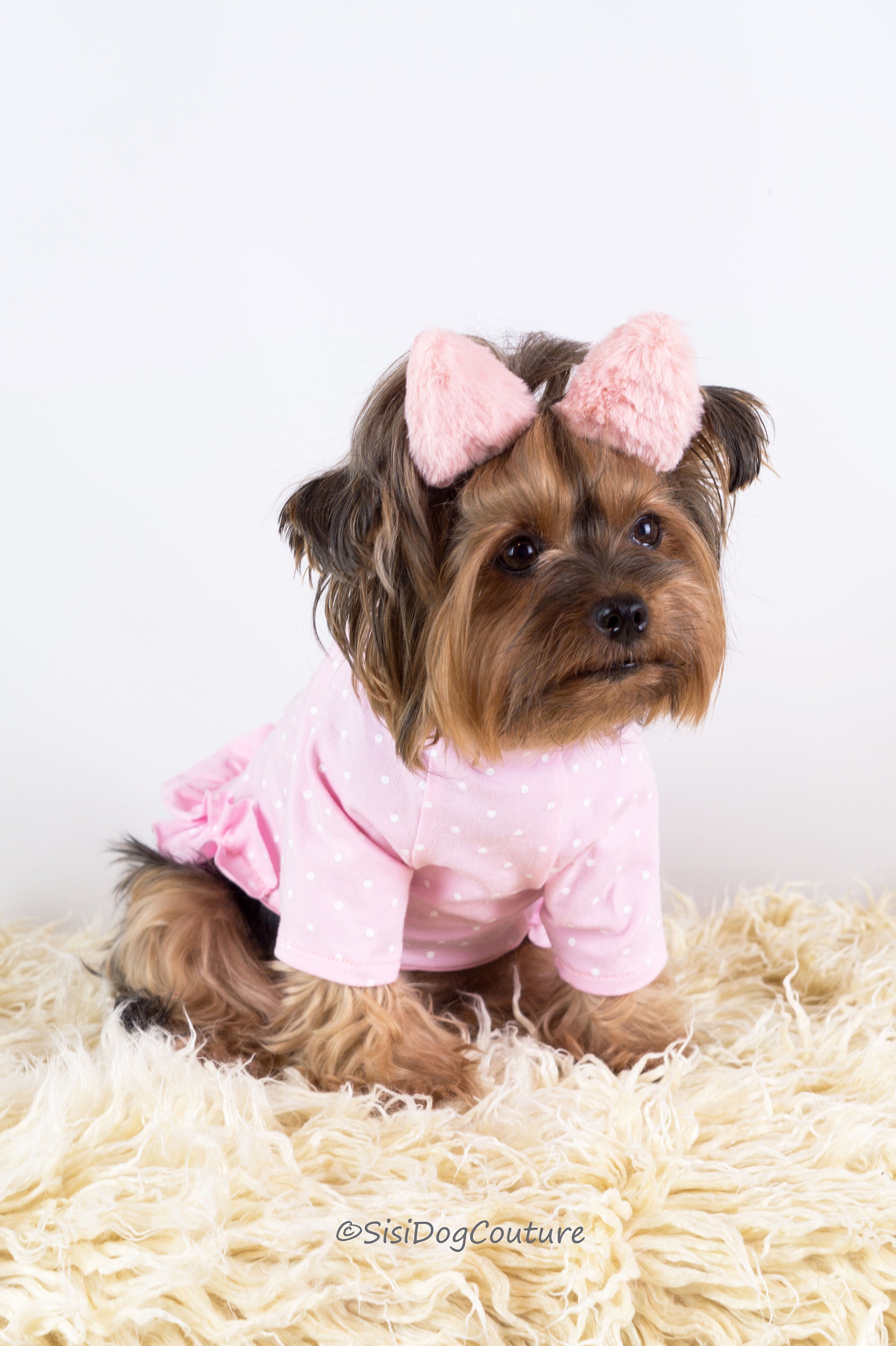 Do Yorkies Need Clothes