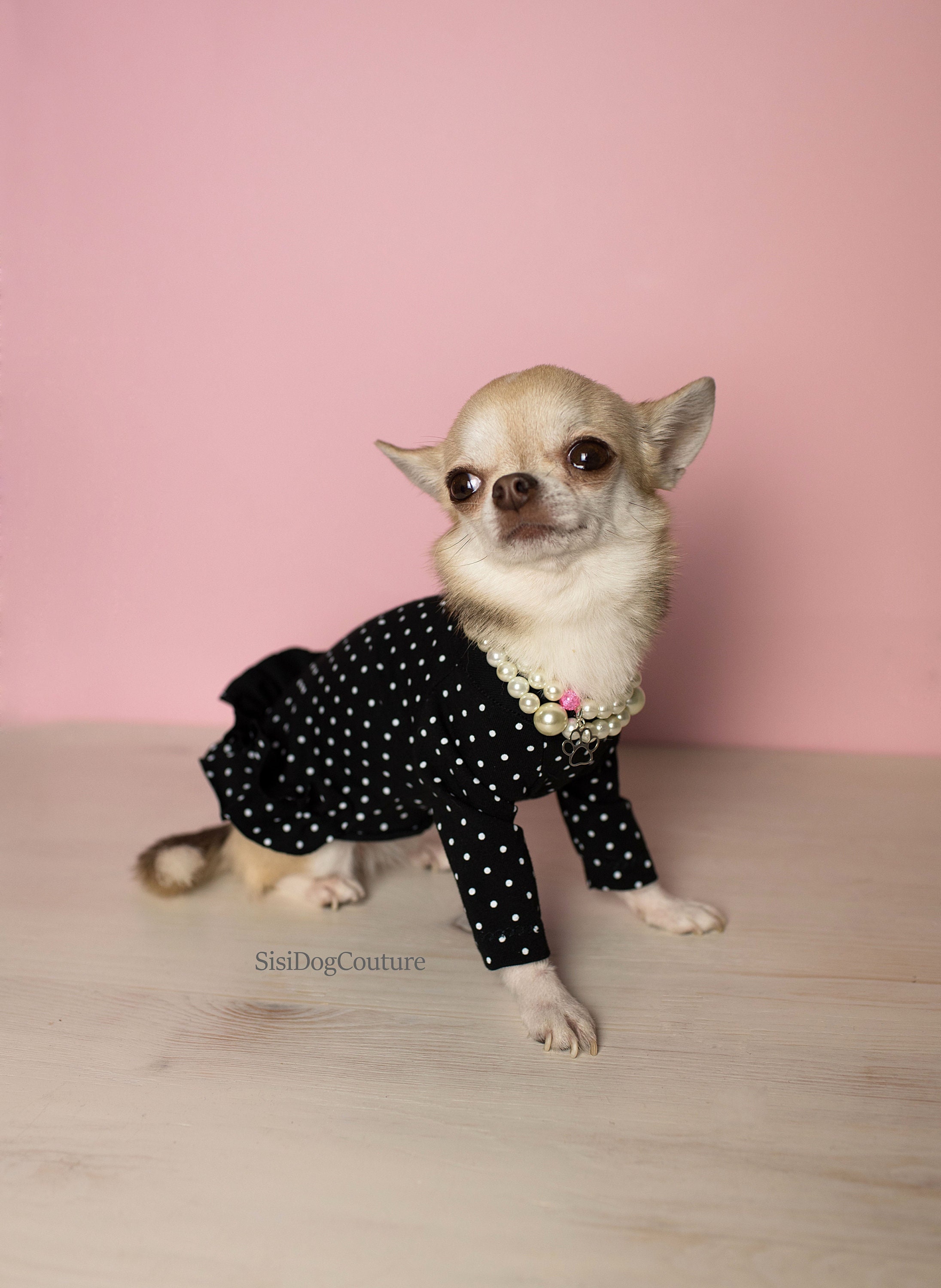 水玉模様のフリル付き犬用ドレス：エレガントなコットン製ペット服