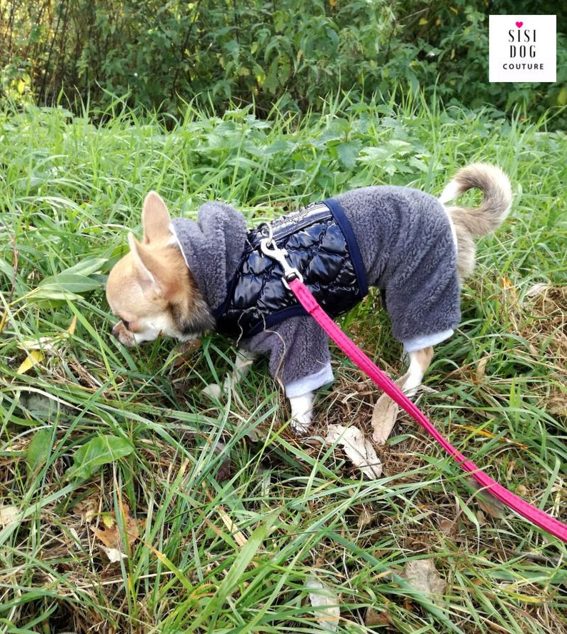 Chihuahua wearing a gray fleece jumpsuit layered with a black quilted vest, ideal for cold walks in nature.