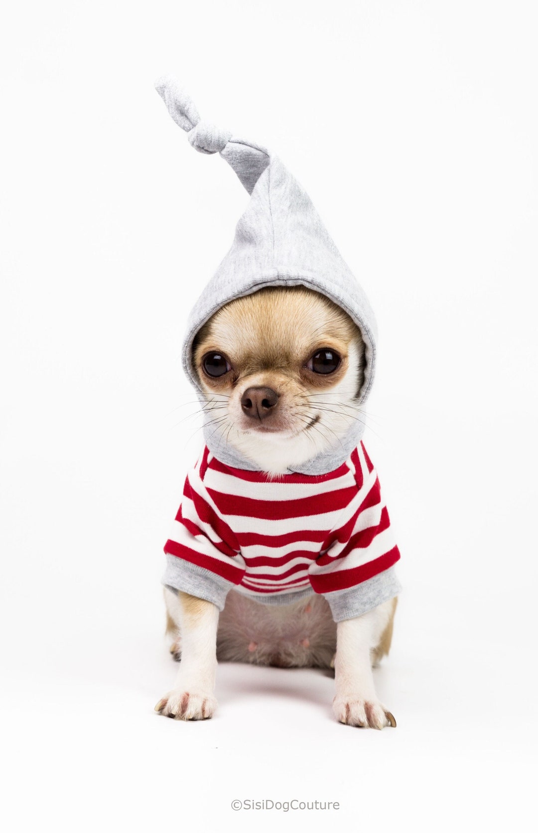 SMALL DOG - Doggy Racing Hoody Grey