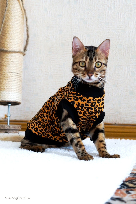 Top deals cat clothing