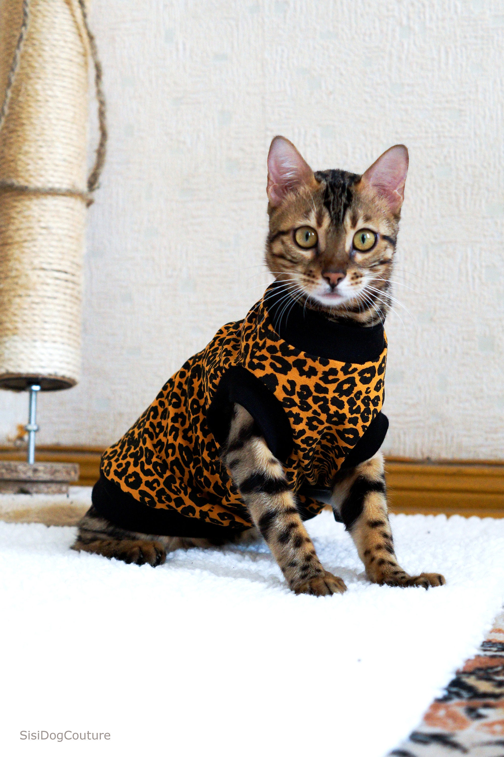 cat clothes australia