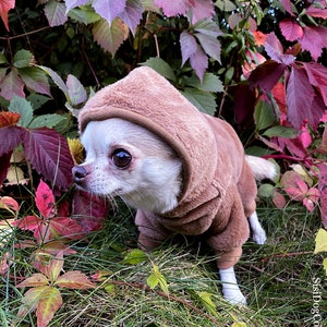 Teacup Dog Snowsuit Etsy UK