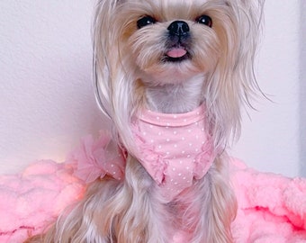 Robe rose pour chien à pois : jupe à volants, coton confortable à la mode pour animal de compagnie