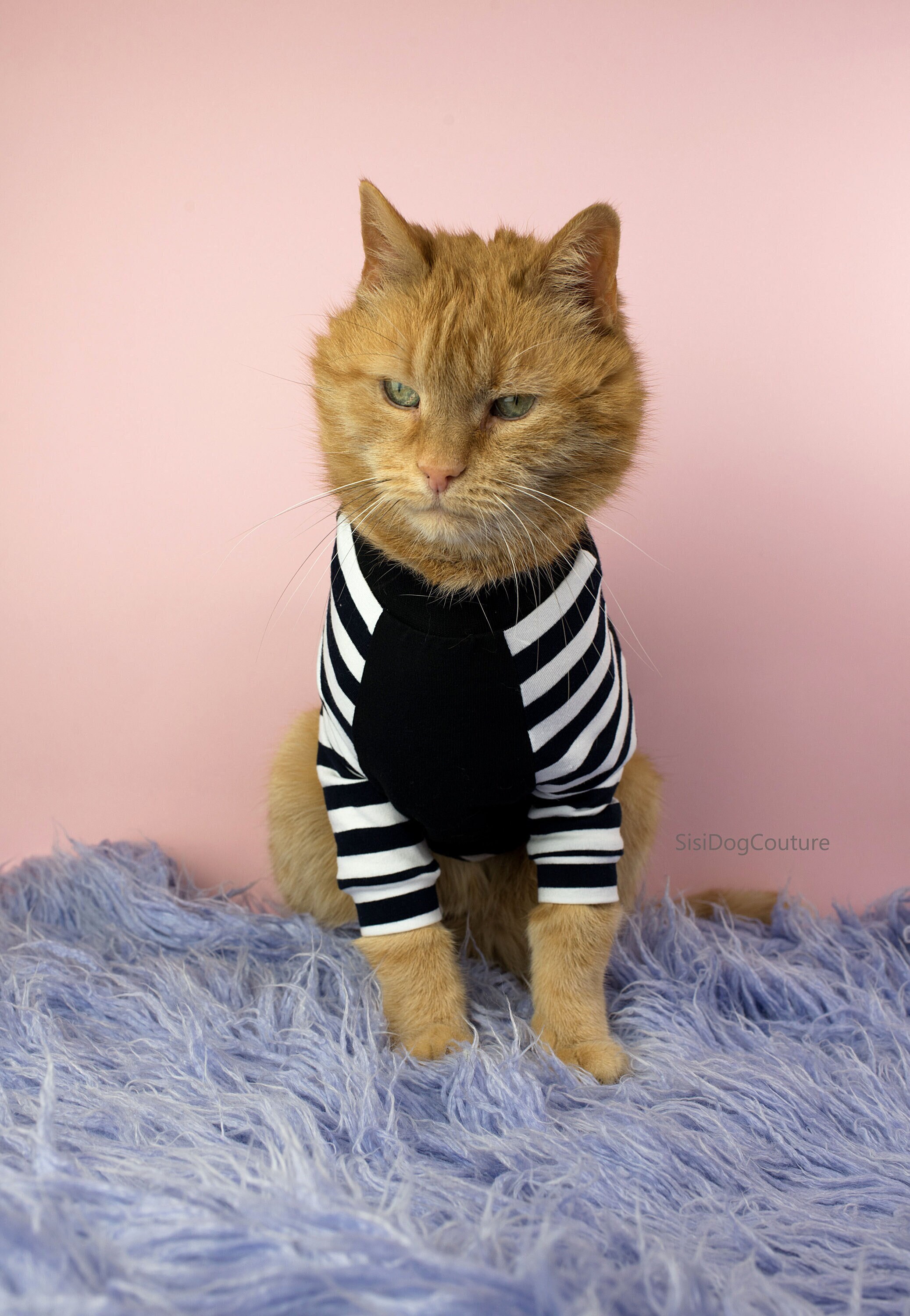 Cotton Cat Sweater Cotton Sphynx Sweater Linen Cat Clothes 