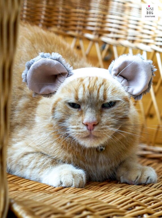 Hindre delikat vegetarisk Snood for Cats Cat Snood Cat Accessories Ear Snood Cat | Etsy UK